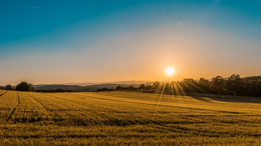 Illustrative open land at sunrise — not a project location